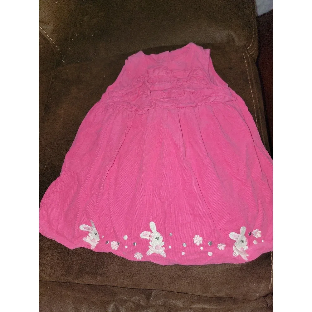 Gymboree glamour ballerina bunny‎ dress size 18 24 months
